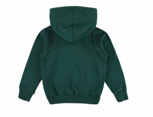 BOYS HOODIE FOREST
