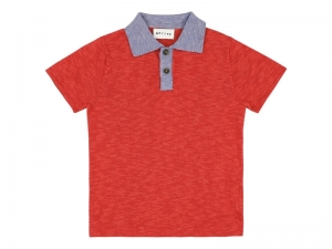 KNITTED SHORTSLEEVES POLO KNIGHT