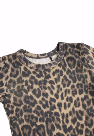 2W26A405 BRUSHED LEO